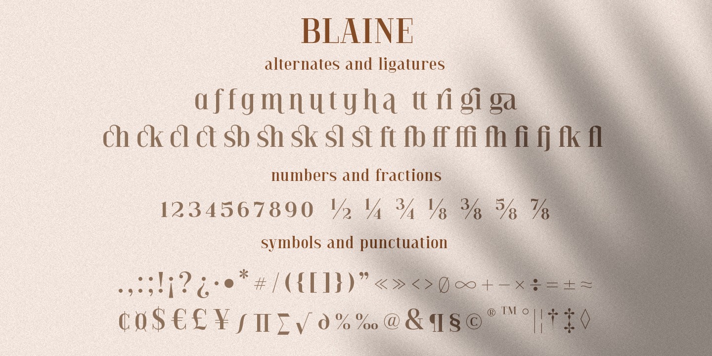 Blaine Regular Font preview